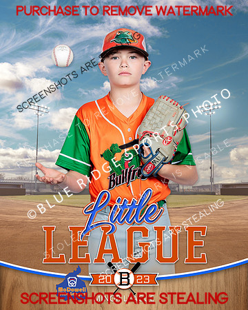BULLFROGS.MINORS.BASEBALL 004 of 10