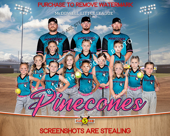 1 pinecones