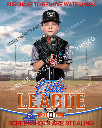 RENEGADES.MINORS.BASEBALL 006 of 6