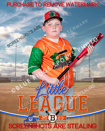 BULLFROGS.MINORS.BASEBALL 001 of 10