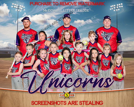 1 unicorns