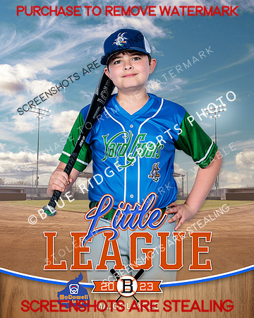 YARDGOATS.INDV 004 of 8