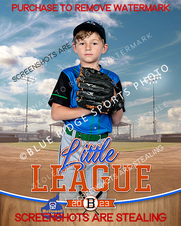 PICKLES.CP.BASEBALL 011 of 14
