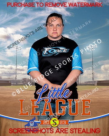 FORCE.MINORS.SOFTBALL 006 of 12