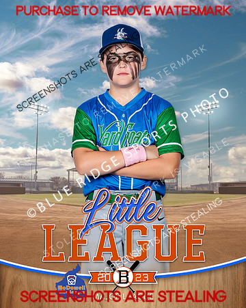 YARDGOATS.MAJORS.BASEBALL 011 of 11