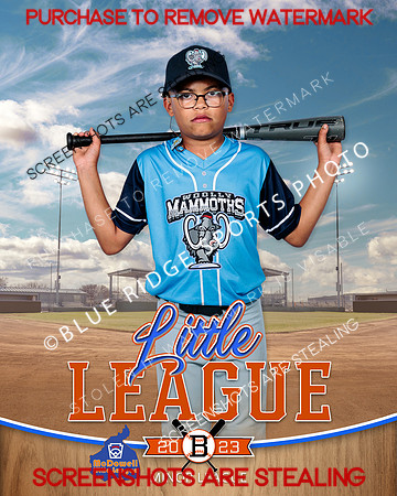 MAMMOTHS.MINORS.BASEBALL 006 of 9