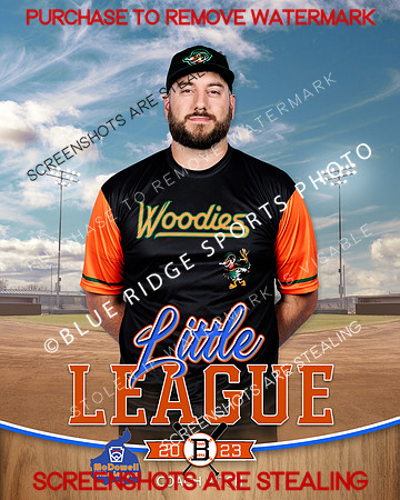 WOODDUCKS.CP.BASEBALL 011 of 11