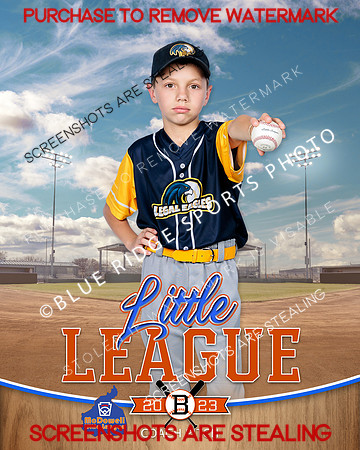 LEGALEAGLES.CP.BASEBALL 012 of 12