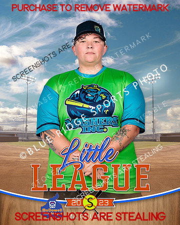 MASHERS.MAJORS.SOFTBALL 003 of 10
