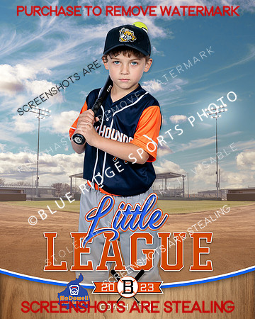 ROCKHOUNDS.CP.BASEBALL 003 of 14