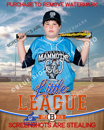 MAMMOTHS.MINORS.BASEBALL 005 of 9