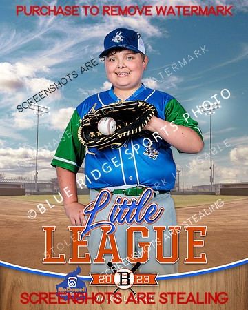 YARDGOATS.INDV 002 of 8