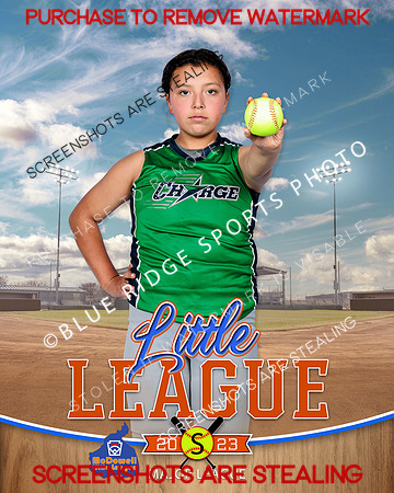 CHARGE.MAJORS.SOFTBALL 006 of 12