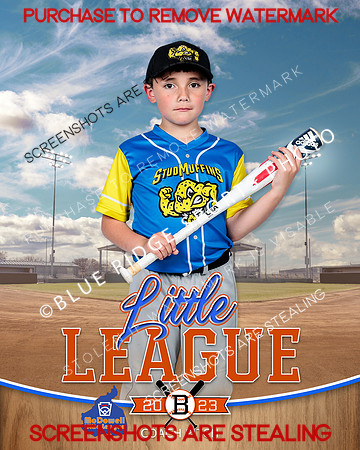 STUDMUFFINS.CP.BASEBALL 002 of 14