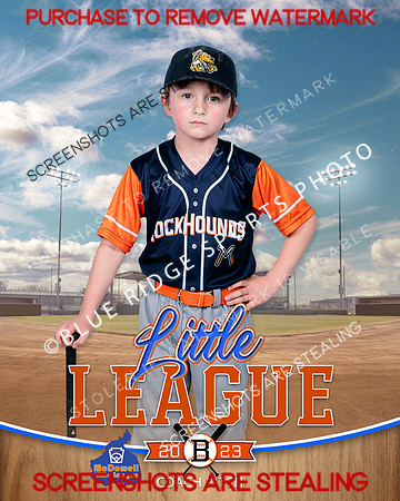 ROCKHOUNDS.CP.BASEBALL 001 of 14