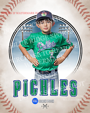 PICKLES 023 of 43