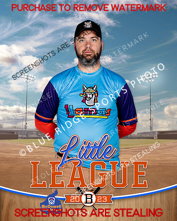 LLAMAS.CP.BASEBALL 002 of 13