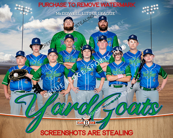 1 yard goats