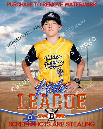 UDDERTUGGERS.MINORS.BASEBALL 005 of 8