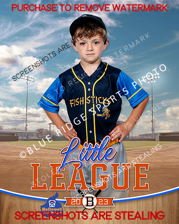 FISHSTICKS.TBALL 006 of 16