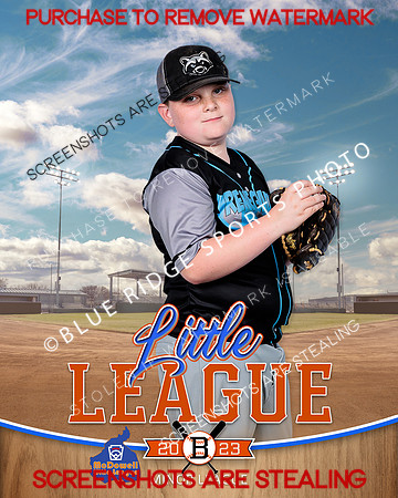 RENEGADES.MINORS.BASEBALL 001 of 6