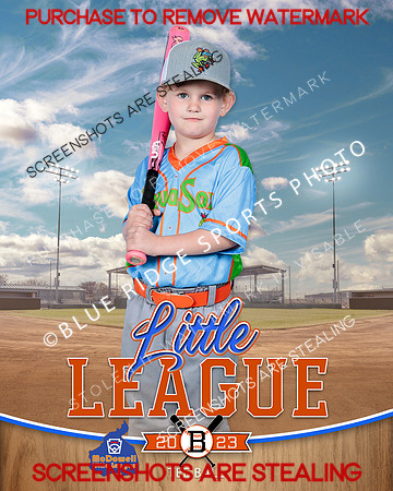 AQUASOCKS.TBALL 005 of 15