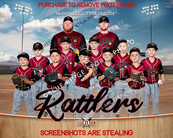 1 rattlers