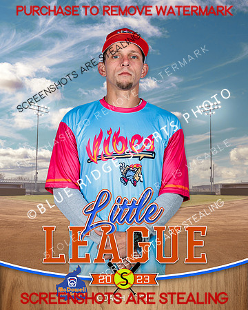 VIBES.CP.SOFTBALL 007 of 12