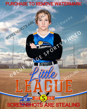 COMMOTION.MINORS.SOFTBALL 009 of 10