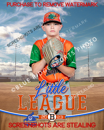 BULLFROGS.IND 006 of 10
