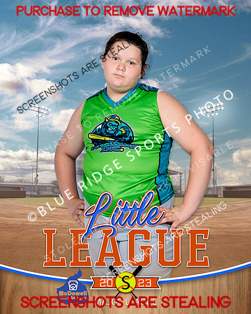 MASHERS.MAJORS.SOFTBALL 010 of 10