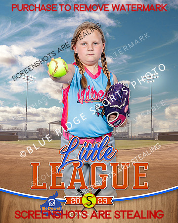 VIBES.CP.SOFTBALL 002 of 12