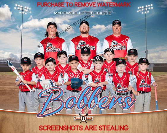1 Bobbers