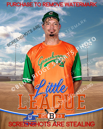 GRASSHOPPERS.MAJORS.BASEBALL 005 of 11