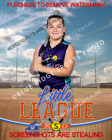 WILD.INDV 006 of 11