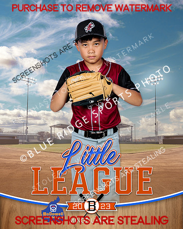 BACON.MINORS.BASEBALL 004 of 4