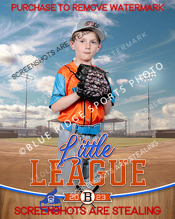 HOTRODS.CP.BASEBALL 003 of 15
