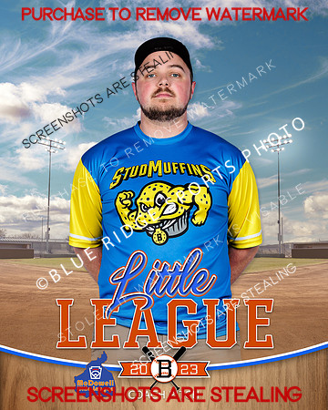 STUDMUFFINS.CP.BASEBALL 011 of 14