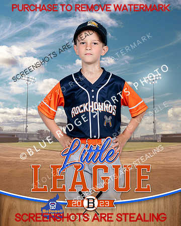 ROCKHOUNDS.CP.BASEBALL 014 of 14
