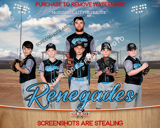 1 Renegades
