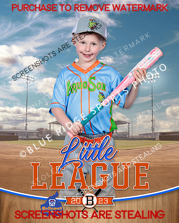 AQUASOX.IND 004 of 12