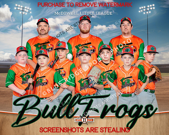 1 Bullfrogs