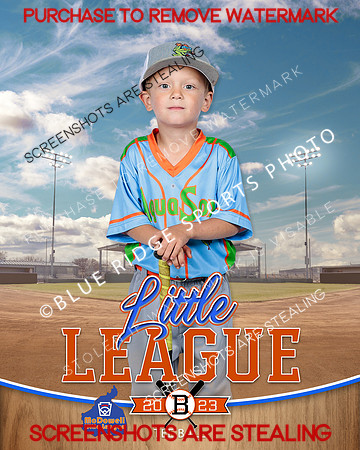 AQUASOCKS.TBALL 014 of 15
