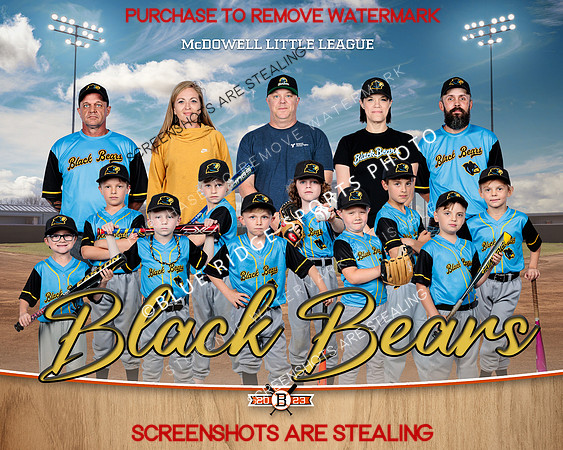 1 bbears team