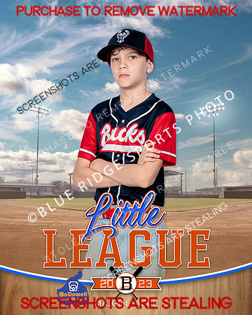 BUCKS.MAJORS.BASEBALL 004 of 12