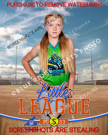 MASHERS.MAJORS.SOFTBALL 005 of 10
