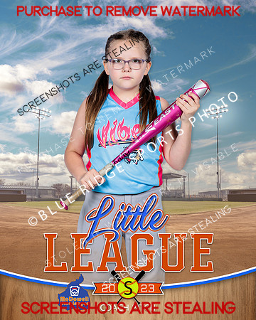 VIBES.CP.SOFTBALL 009 of 12