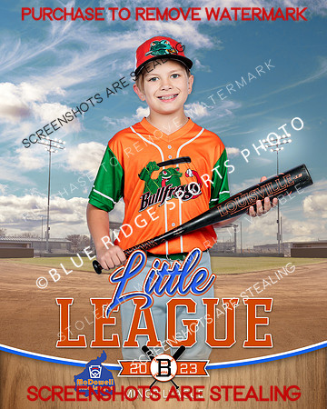 BULLFROGS.IND 009 of 10