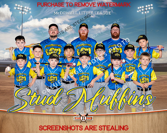 1 studmuffins