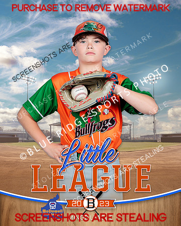 BULLFROGS.IND 005 of 10
